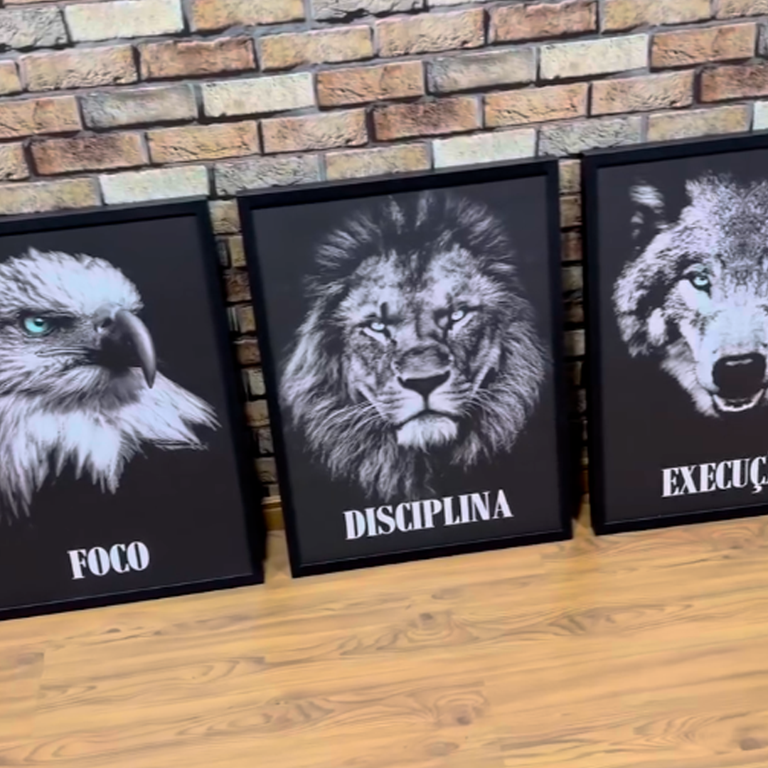 Publicação ToqueFinal 9